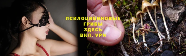 ПСИЛОЦИБИНОВЫЕ ГРИБЫ Алексин
