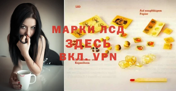 ГАЛЛЮЦИНОГЕННЫЕ ГРИБЫ Алзамай