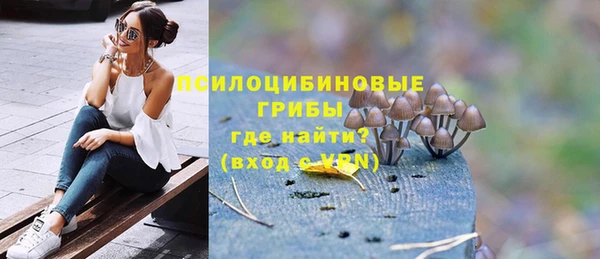 ГАЛЛЮЦИНОГЕННЫЕ ГРИБЫ Алексеевка