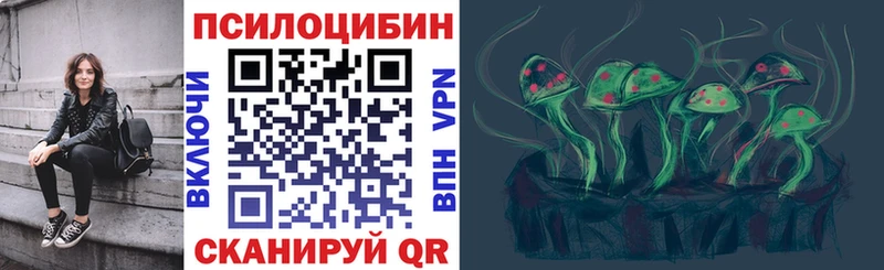 наркота  Бикин  hydra   Галлюциногенные грибы Psilocybine cubensis 