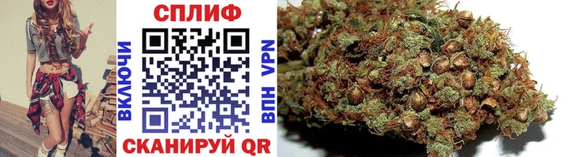 Канабис Amnesia  купить наркотик  hydra ТОР  Бикин 